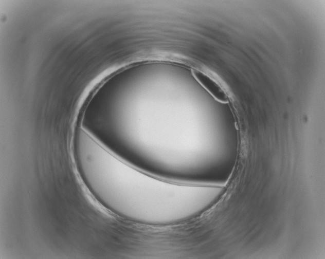 X0000082201136200701191043