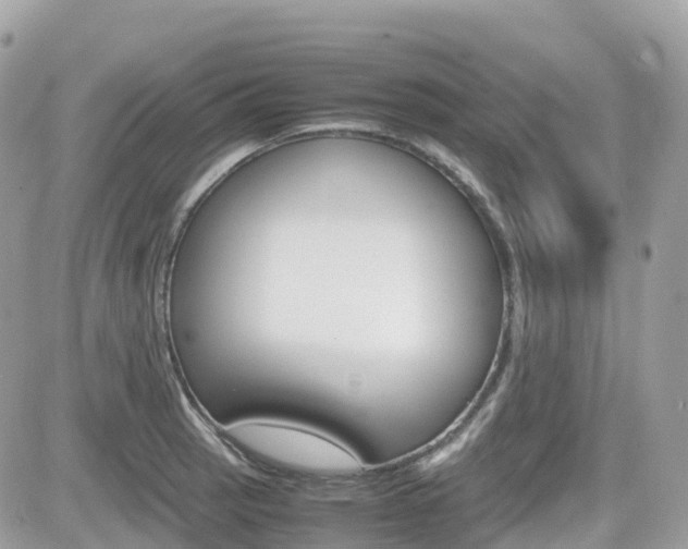 X0000082201137200701191043