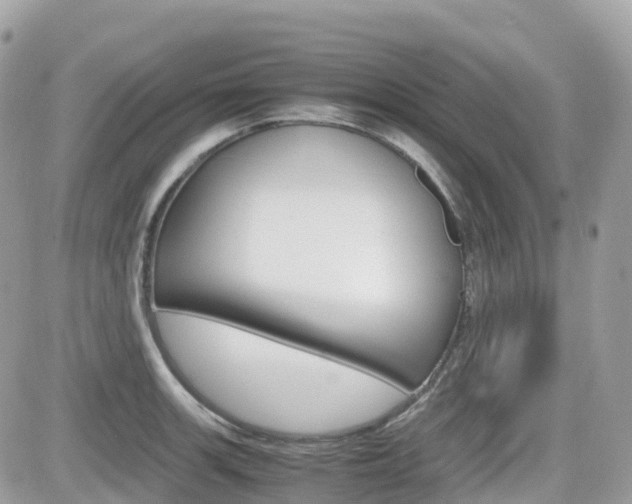 X0000082201139200701191043
