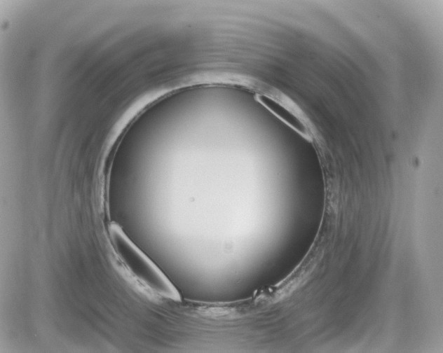 X0000082201140200701191043