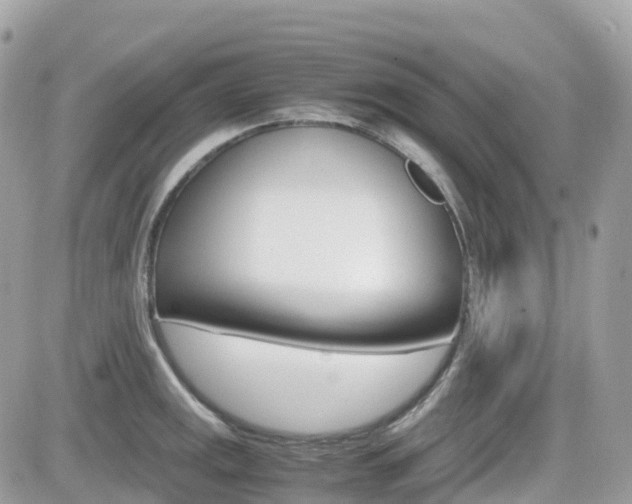 X0000082201141200701191043