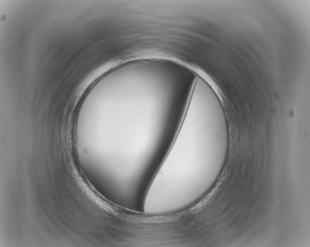 X0000082201142200701191044