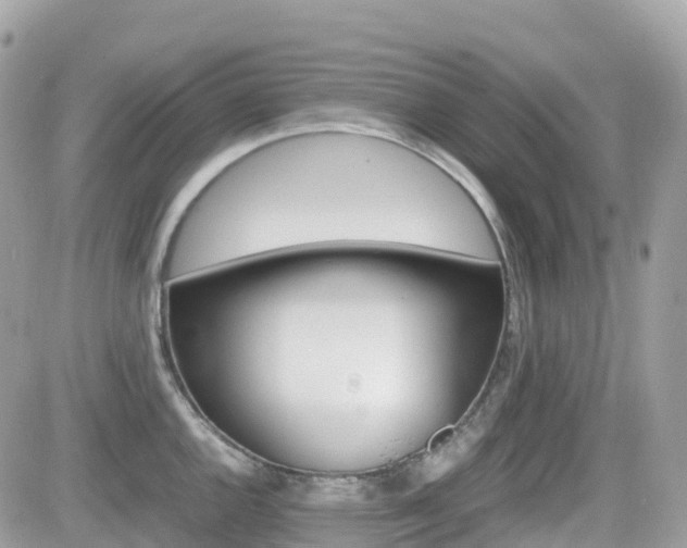 X0000082201144200701191044