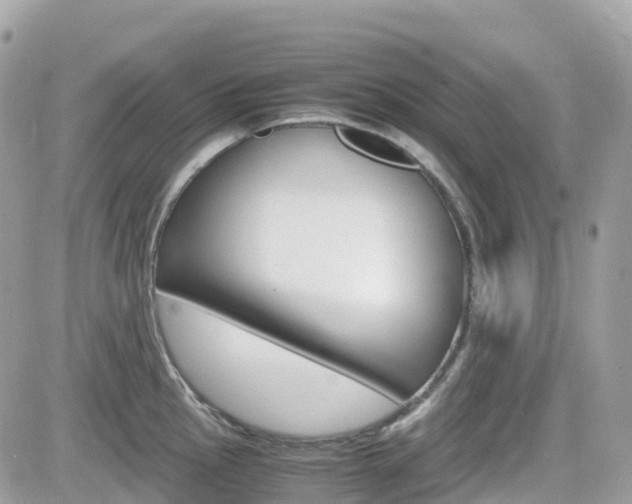 X0000082201145200701191044