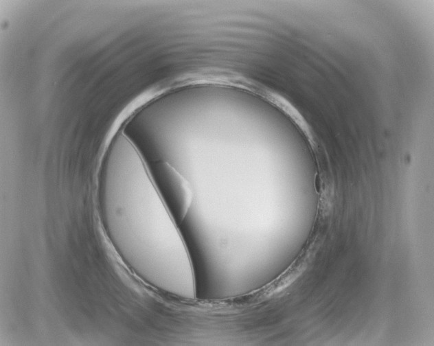 X0000082201146200701191044