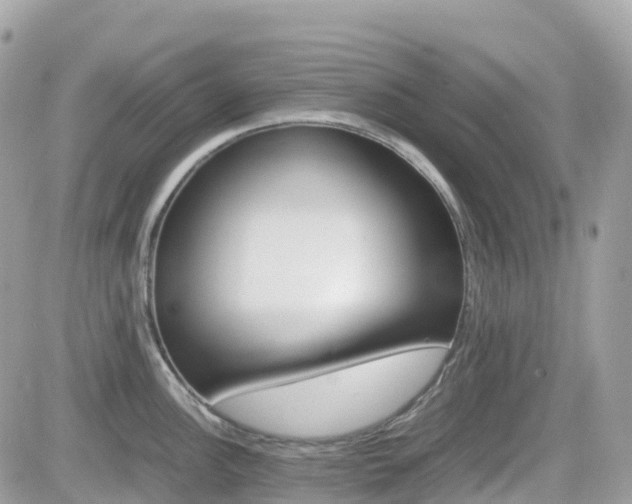 X0000082201148200701191044