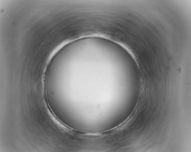 X0000082201151200701191044