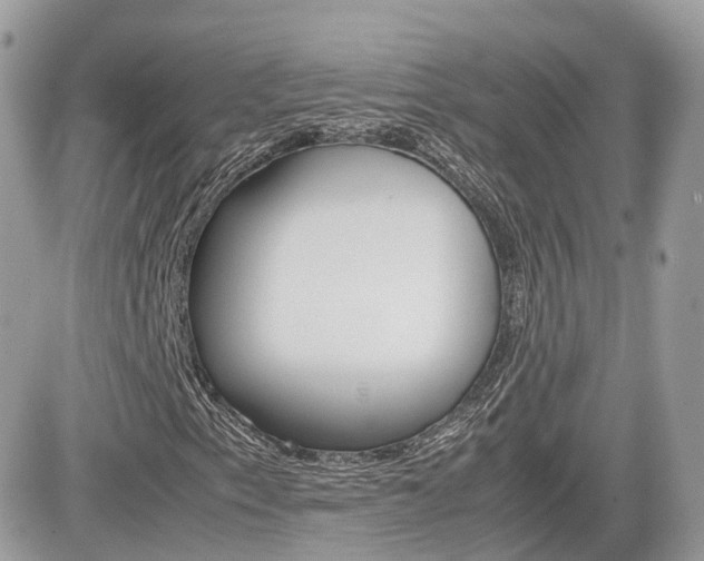 X0000082201153200701191043