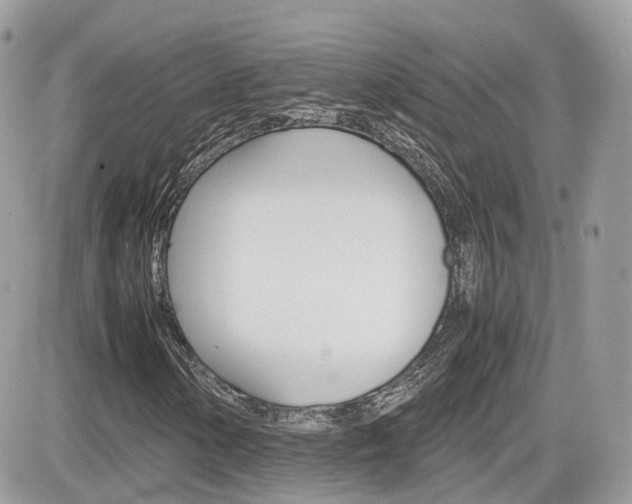 X0000082201154200701191043