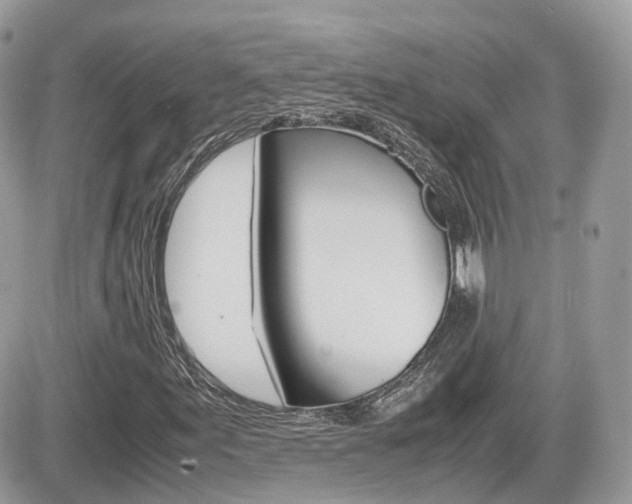 X0000082201155200701191043