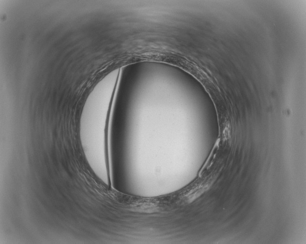 X0000082201156200701191043