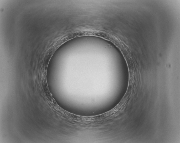 X0000082201157200701191043
