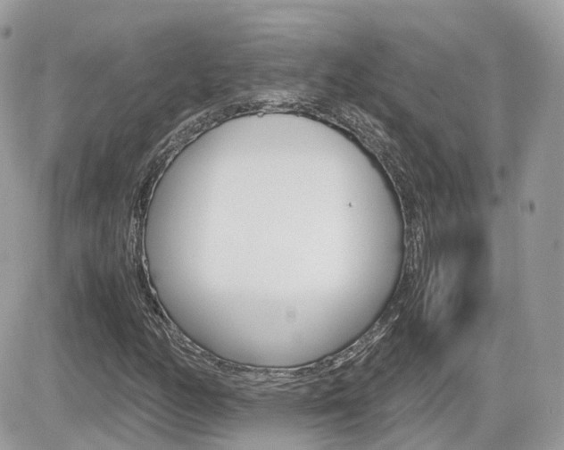 X0000082201158200701191043
