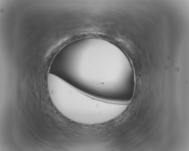 X0000082201159200701191043