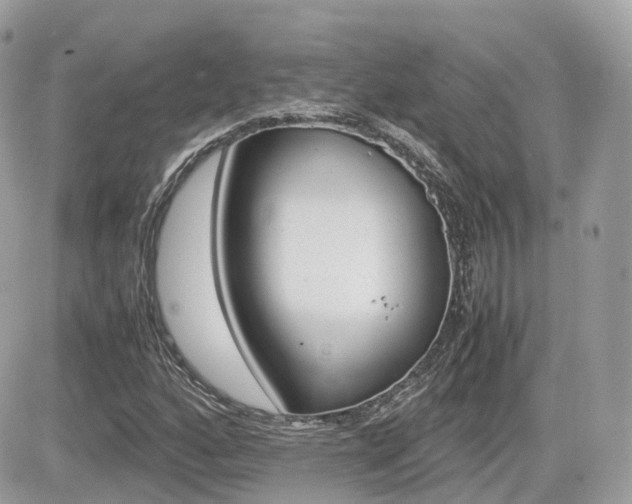 X0000082201160200701191043