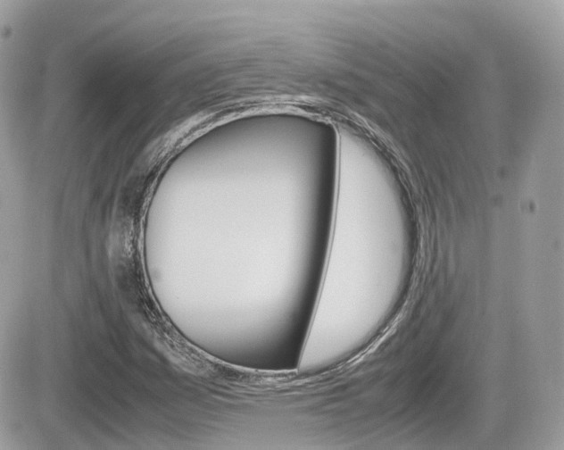 X0000082201161200701191043