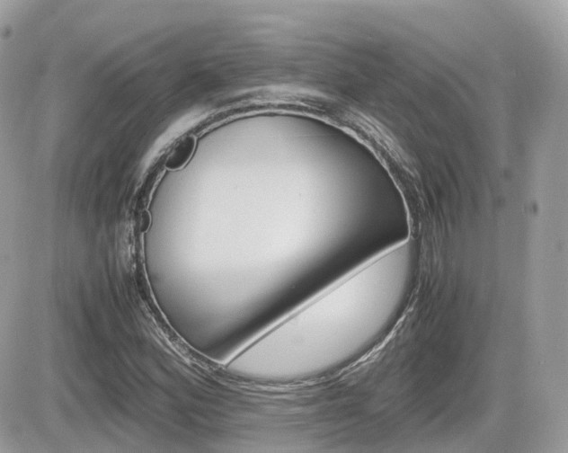 X0000082201164200701191043