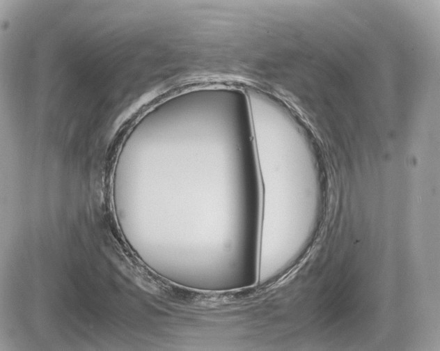 X0000082201165200701191043