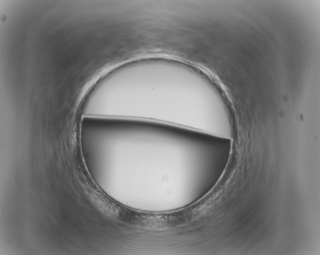 X0000082201167200701191043