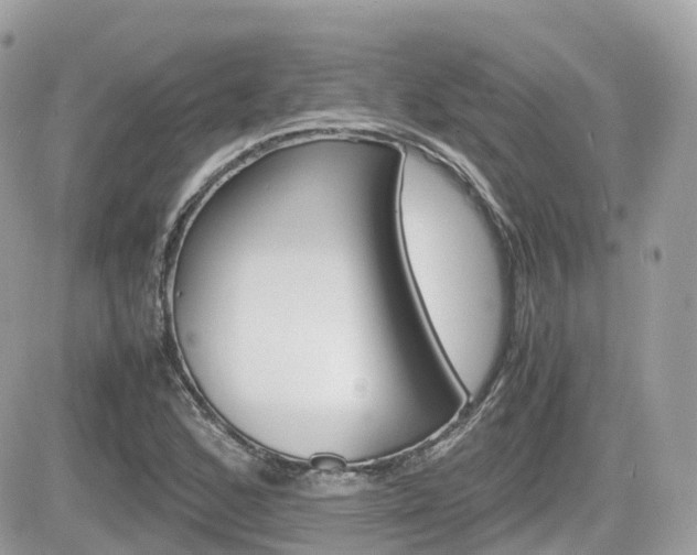 X0000082201168200701191043