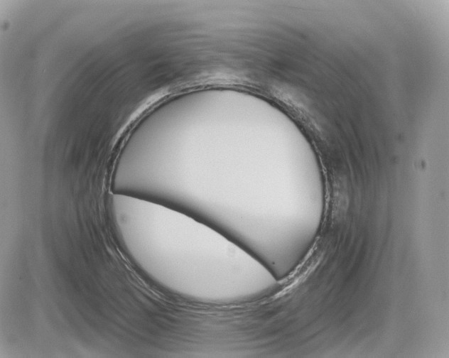 X0000082201170200701191043