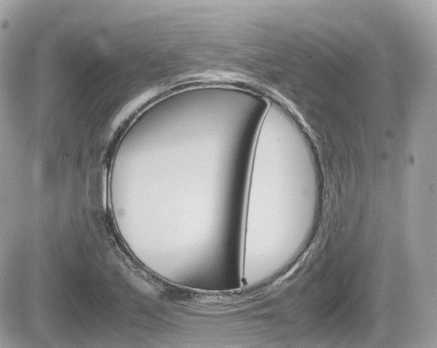 X0000082201171200701191043