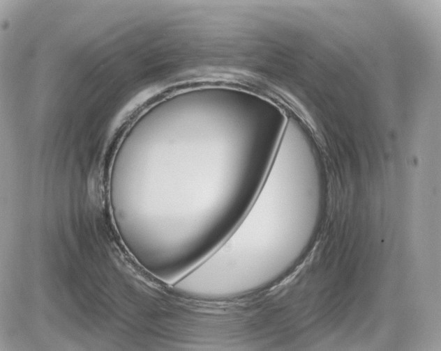 X0000082201172200701191043