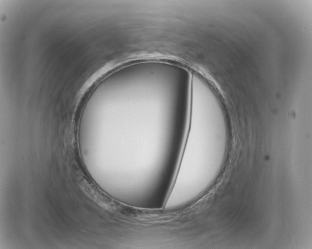 X0000082201173200701191043
