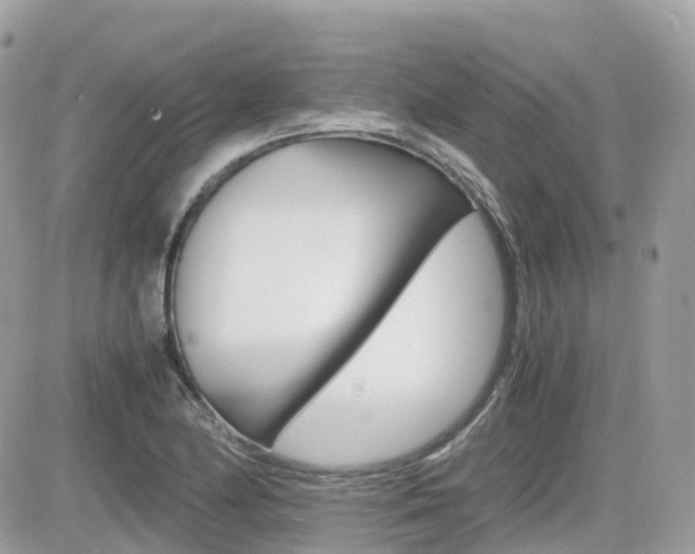 X0000082201174200701191043