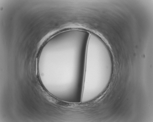 X0000082201175200701191043