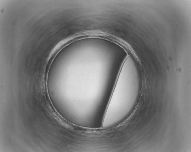 X0000082201176200701191043