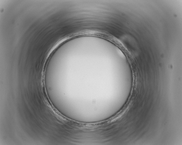 X0000082201178200701191042