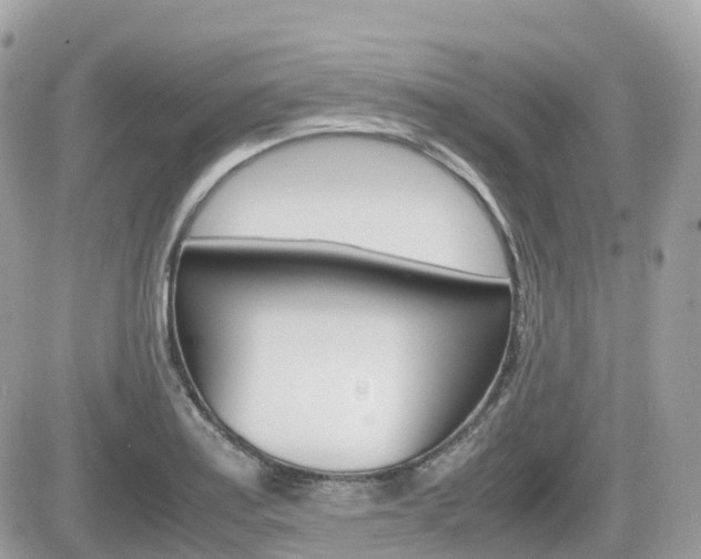 X0000082201179200701191042