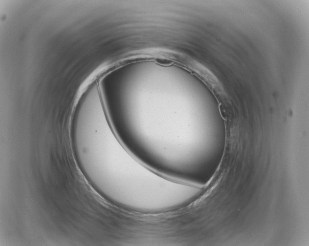 X0000082201180200701191042