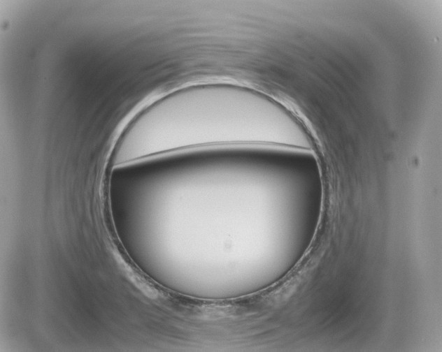 X0000082201181200701191042