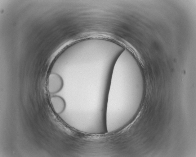 X0000082201182200701191042