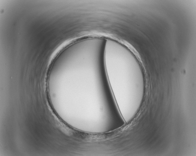 X0000082201183200701191042