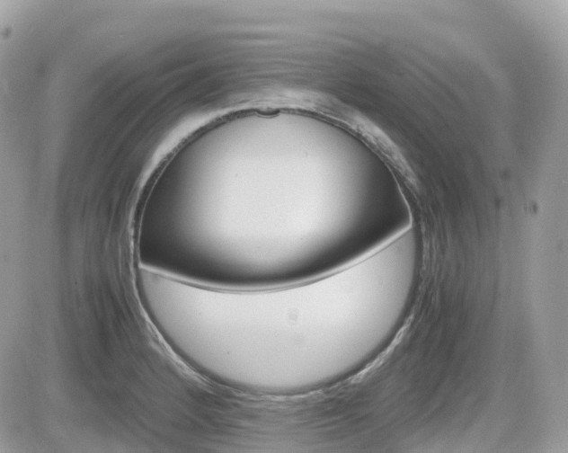 X0000082201184200701191042