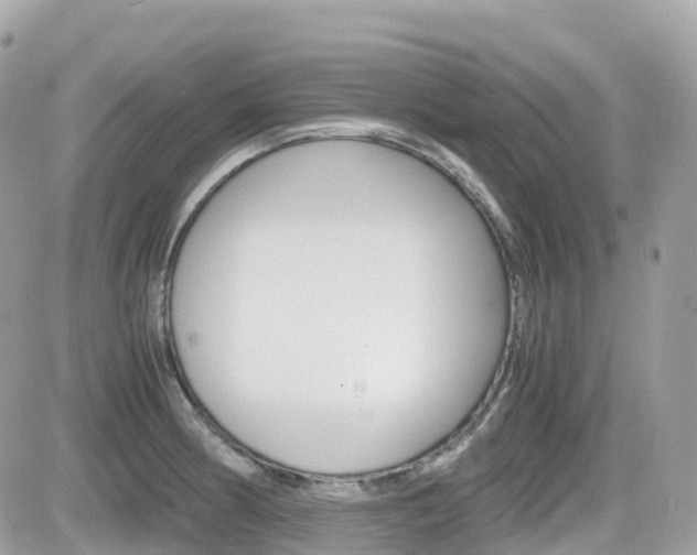 X0000082201186200701191042