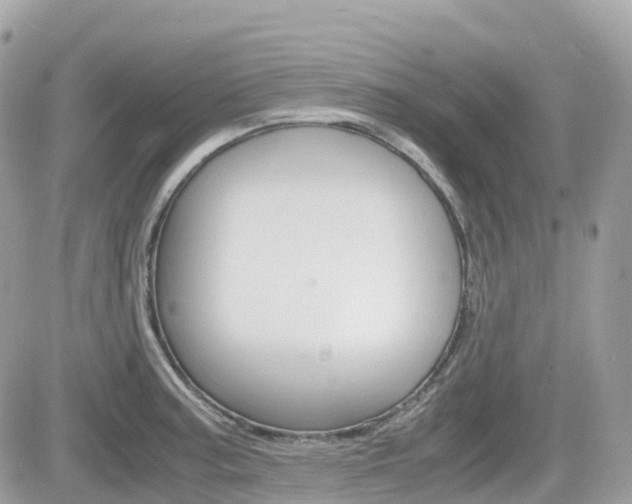 X0000082201187200701191042
