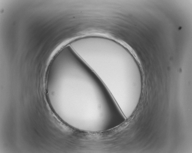 X0000082201191200701191042