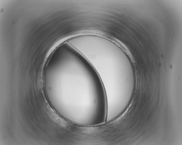 X0000082201192200701191042