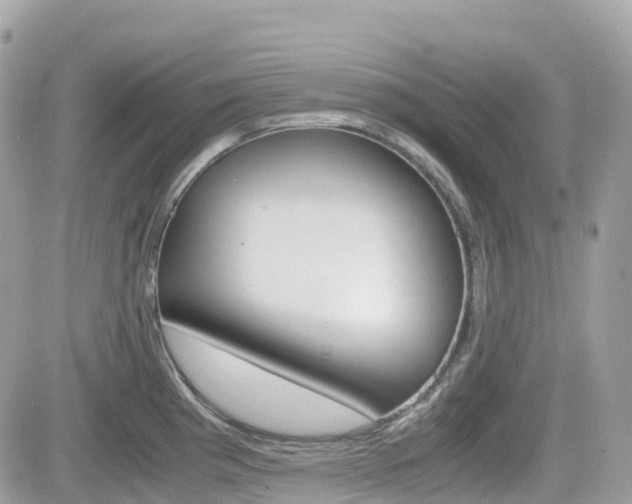 X0000082201193200701191042
