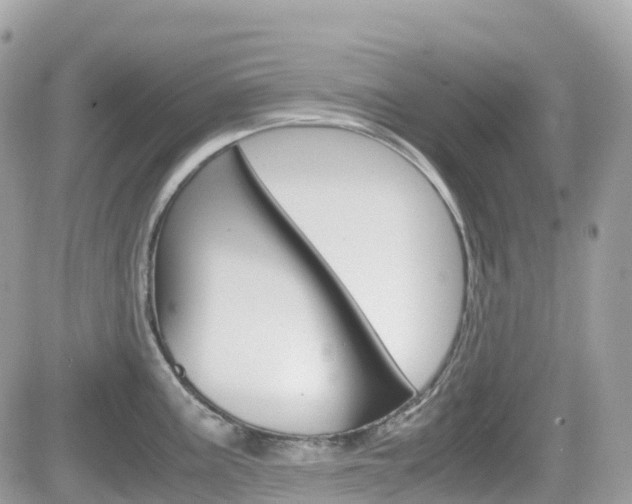 X0000082201195200701191042