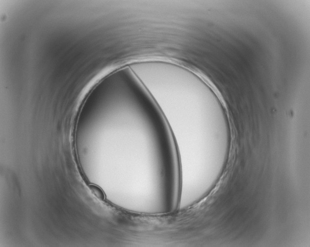 X0000082201197200701191042