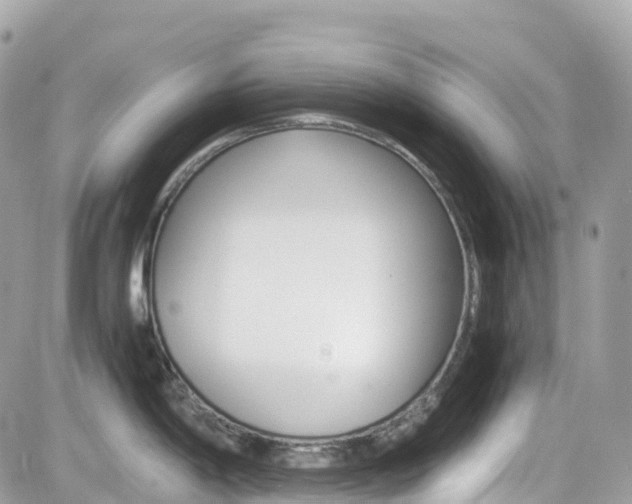 X0000082201198200701191042