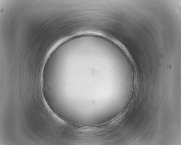 X0000082201199200701191042