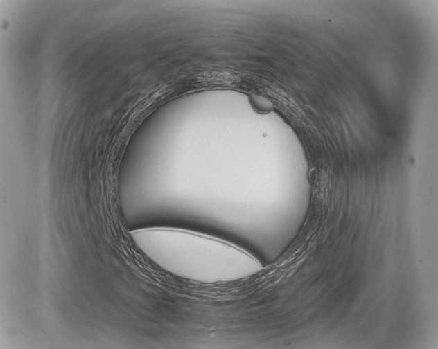 X0000082201201200701191041