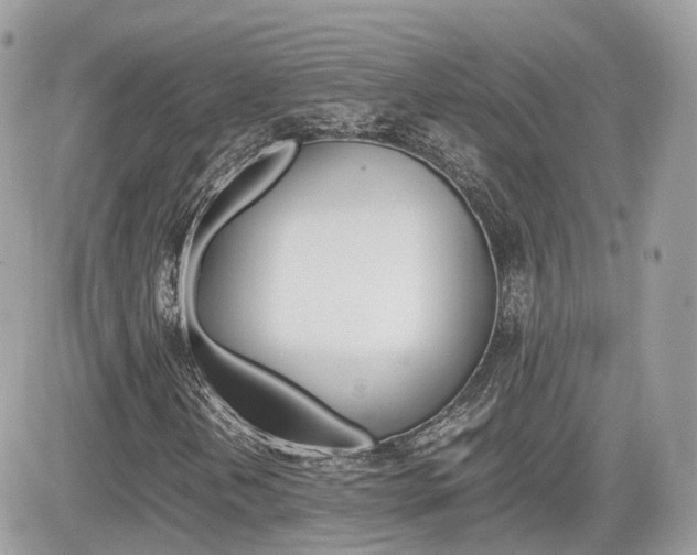 X0000082201202200701191041