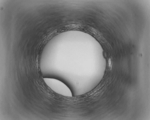 X0000082201203200701191041